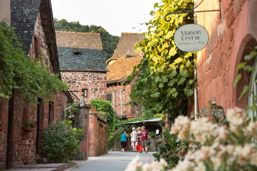 Les Gites Du Gauliat Espartignac Luaran gambar